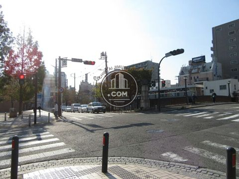 大通り