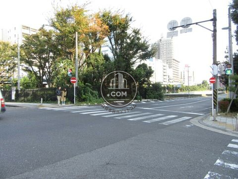 大通り