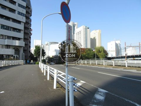 大通り