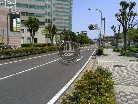 大通り