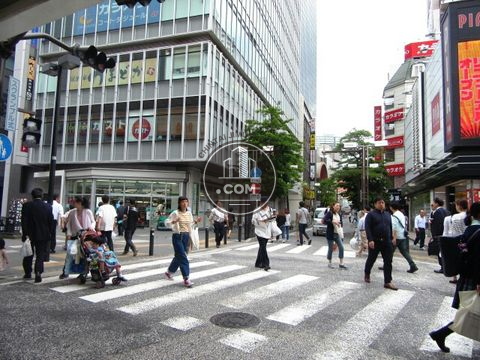 大通り