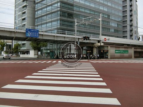 大通り