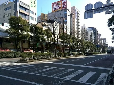 駅前の広い通りです