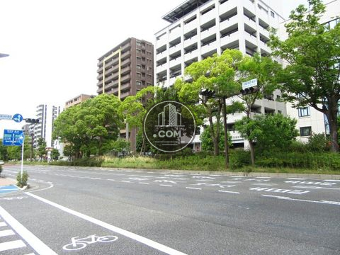 大通り