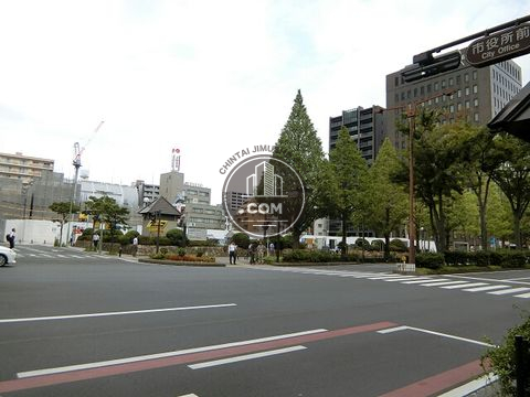 大通り