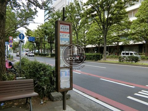 大通り