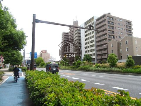 大通り