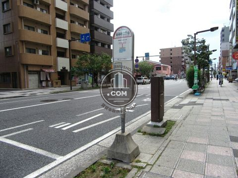 大通り