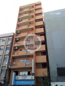 ライオンズマンション白銀ビル外観