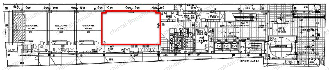 明治薬科大学 剛堂会館の間取図