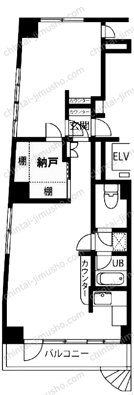 グレース文京の間取図