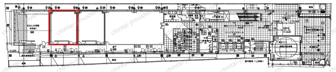 明治薬科大学 剛堂会館の間取図
