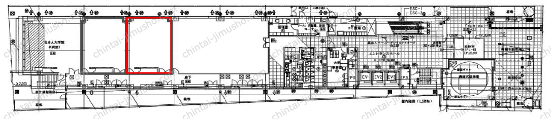 明治薬科大学 剛堂会館の間取図
