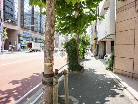 街路樹のある通り