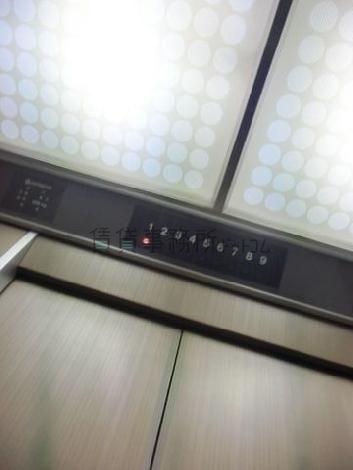 天井の照明