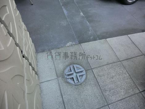 エントランス床面