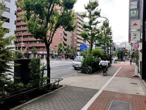 物件周辺