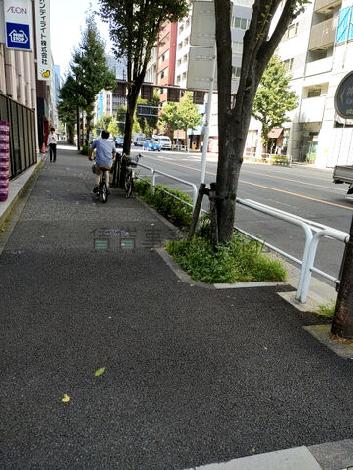 物件周辺