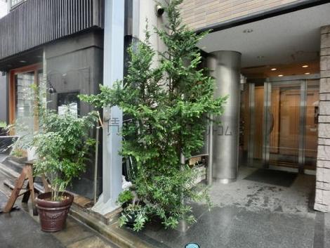 正面玄関