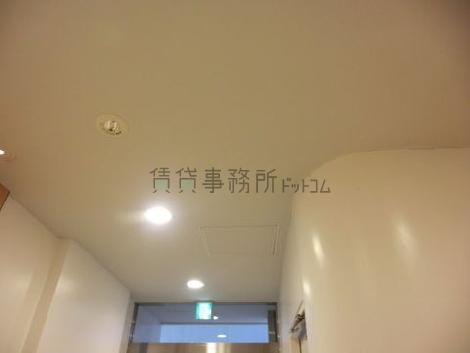 小さいですが強めの明かりです
