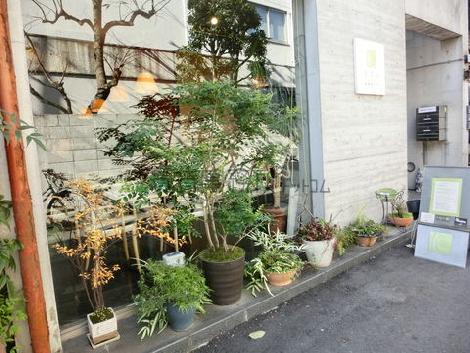 植栽豊かな物件です