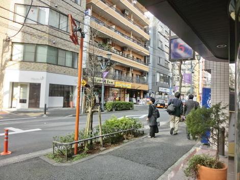 道沿いに緑があります