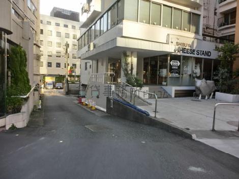 敷地南面の道路