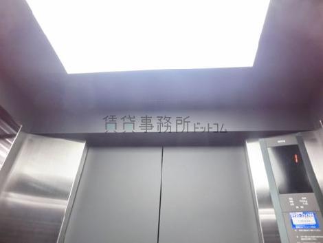 天井の照明