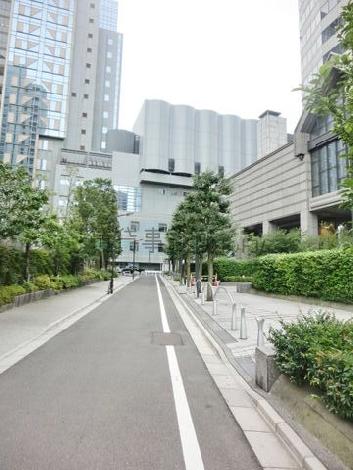 綺麗に整備された植木が立ち並ぶ通り