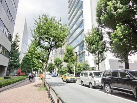 街路樹の多い通り