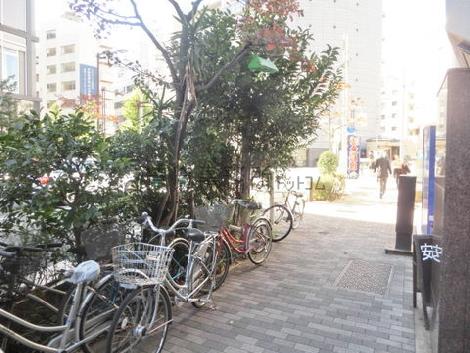 街路樹の点在するエリアです