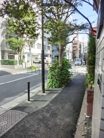 緑の多い歩道です