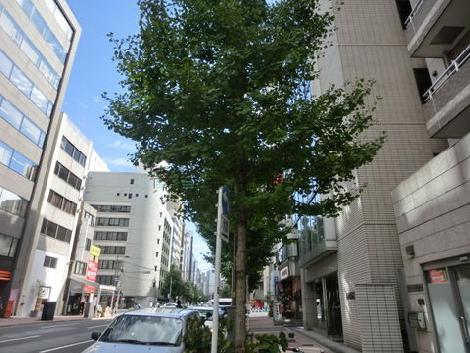 閑静なオフィス街にございます