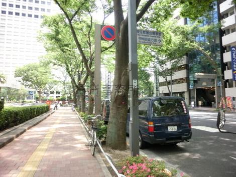 歩道の幅が広いです