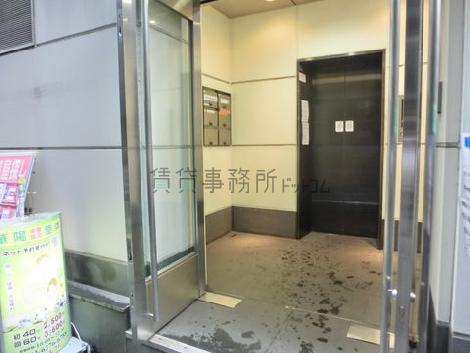 かなり綺麗な見た目です
