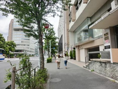 街路樹が並んだ歩きやすい通りです