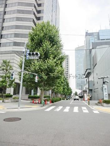 隣接する街路樹通り