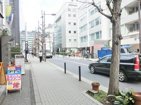 歩道には街路樹が並びます