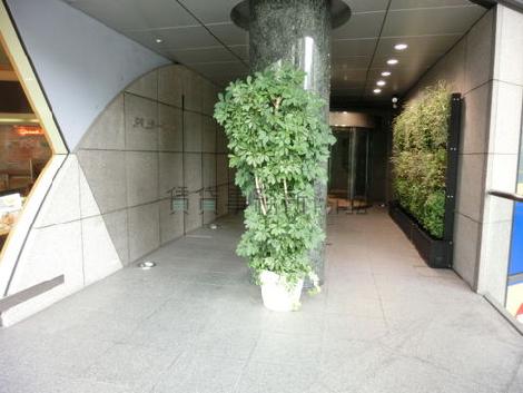 開口部の広い造り
