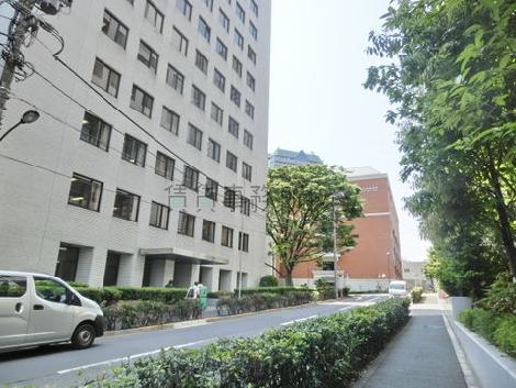 物件周辺