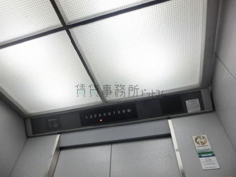 天井の照明