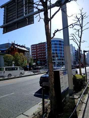 物件周辺