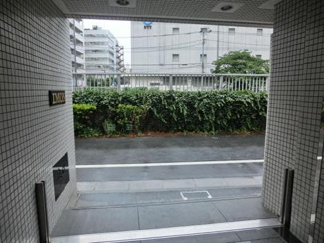 物件目の前は川です