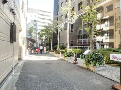街路樹のある通り