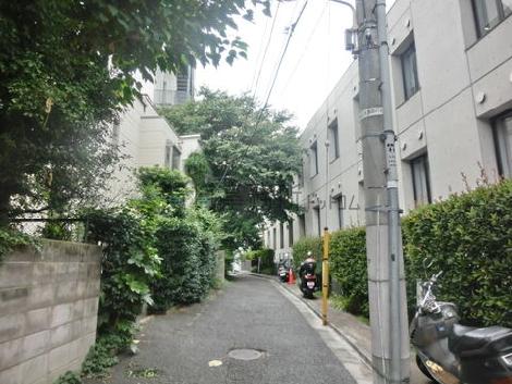 この先は外苑西通り