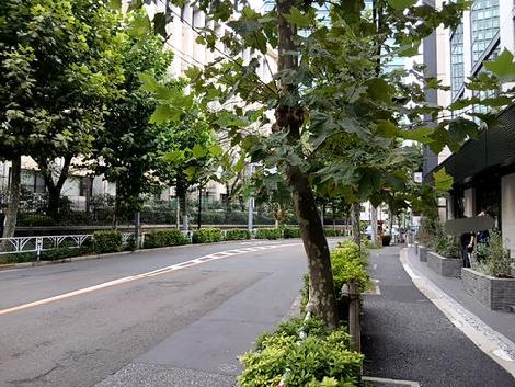 物件周辺