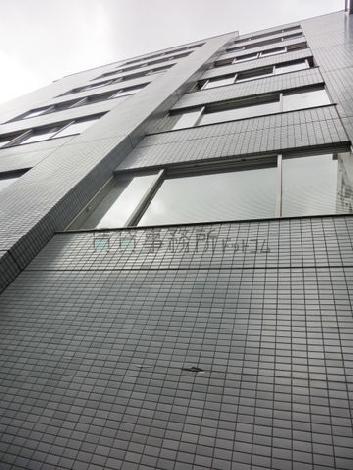 窓が大きめです