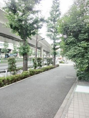 街路樹のある通り