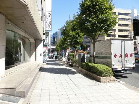 綺麗に整備された街路樹