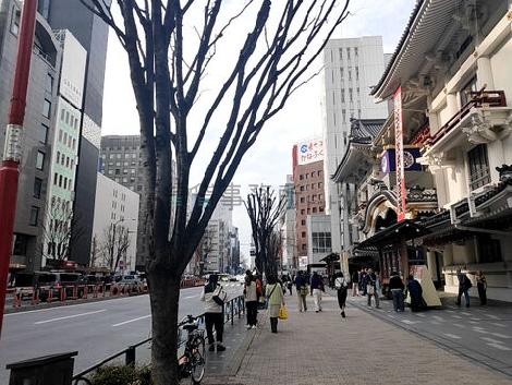物件周辺